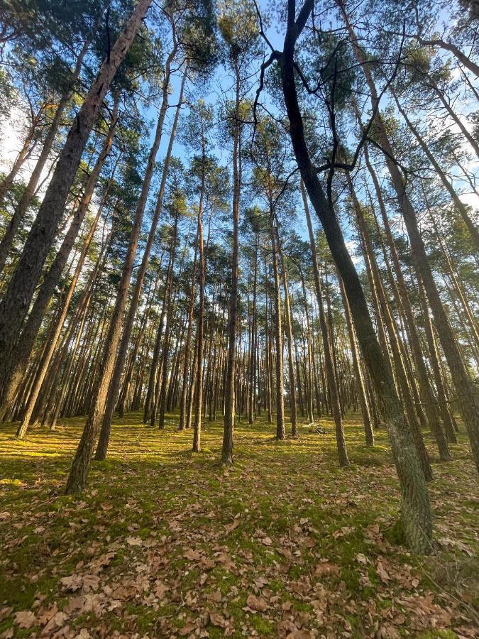 Hotel Park Rekreacyjno-Biznesowy Las Woda Wilga Zewnętrze zdjęcie